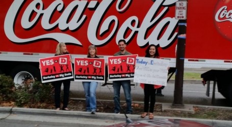 yesond-2-455×250